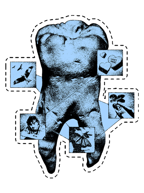 DON'T PANIC "tooth fairy" sticker